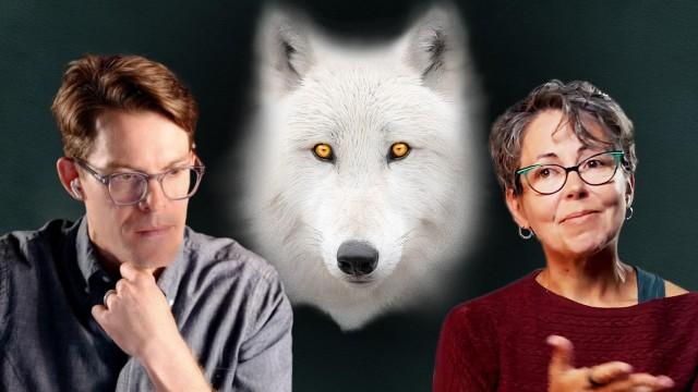 I Talked to the Scientists Who (Maybe) Brought Back the Dire Wolf