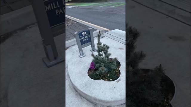 The Smallest Park in the World