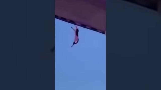 Saving This Cat’s Life