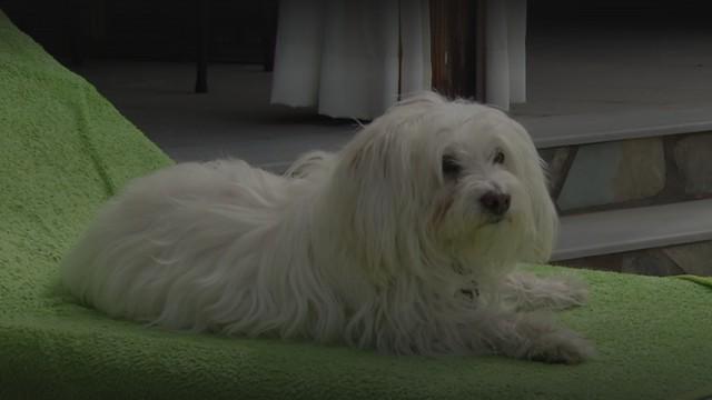 Aflevering 4