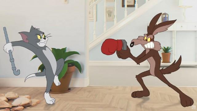 Wile E. Coyote VS Tom Cat