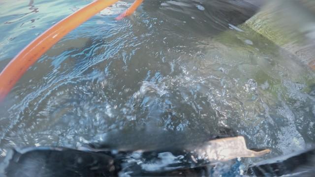 Water Work
