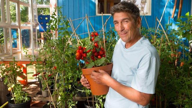 S44E08 - Tomate – Eine Frucht zum Verlieben