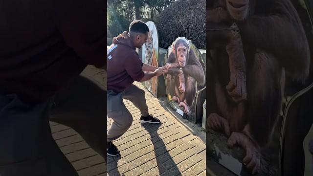 Humans vs. Animals Strength Test