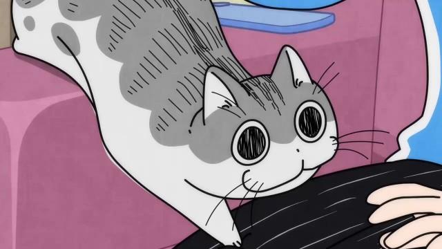 Night 91: Exposed Cat