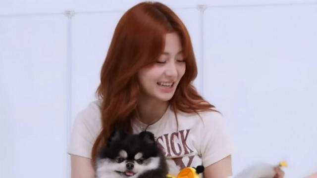 EP.59 [Dog Petsitter: One-Day Pet Care Service]