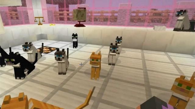 Girls of Cat Science [Ep.7]