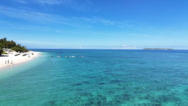 沖縄に新市場をつくる！ 〜密着3年 ジャングリア〜