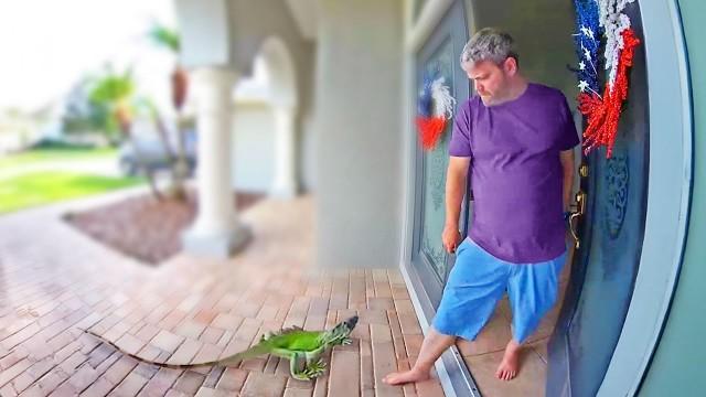 The Best Doorbell Videos Ever