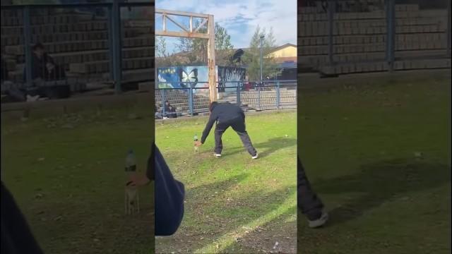 Don’t Try This at Home