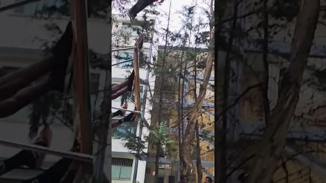 Jumping Over the Comment Section