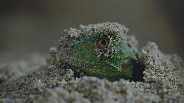 Chapter One: Welcome to the Jungle