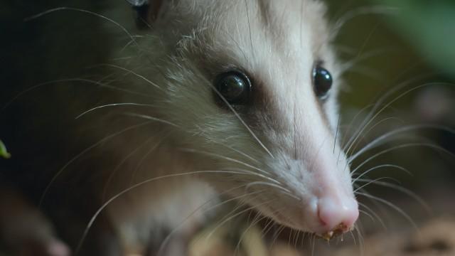 Chapter Three: A Dead End