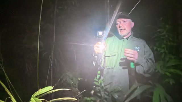 Nachtwanderung im Regenwald