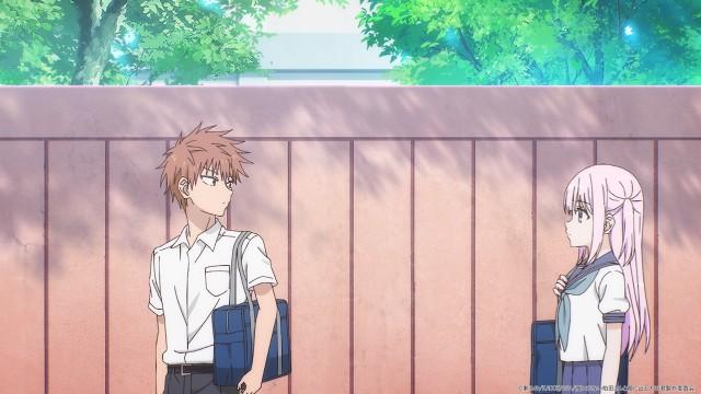 Kashiwada-san and Oota-kun and the Summer Festival