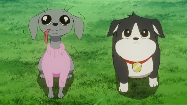 ADS -Aim Down Sights-