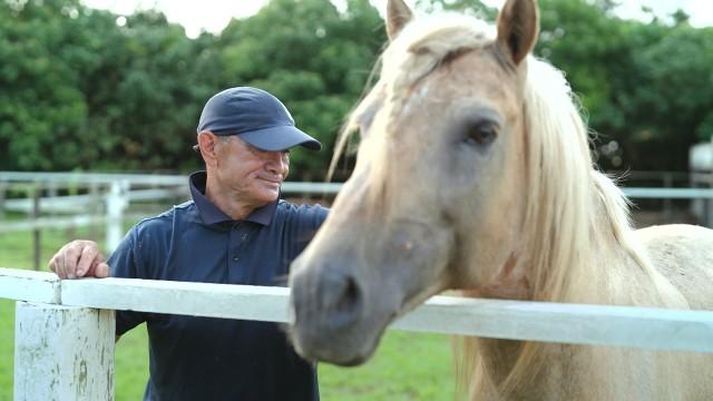 ニライカナイへの旅