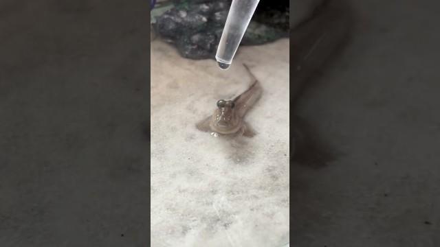 Does he know he’s alive?