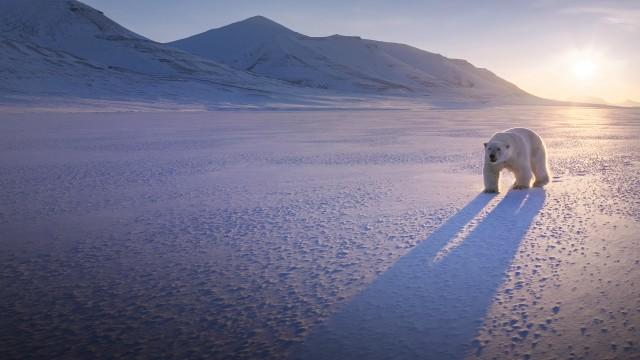 Faszination Europa: Extreme Küste