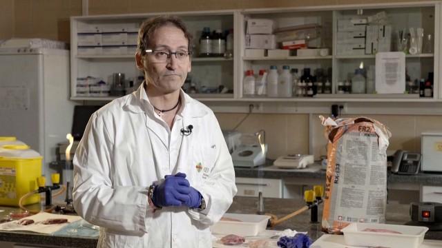 The black market of meat