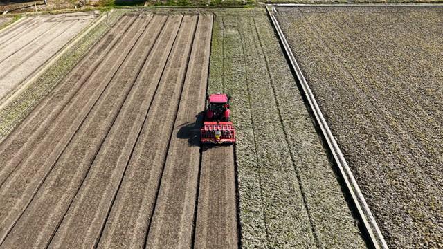 "安いコメ"は作れるか