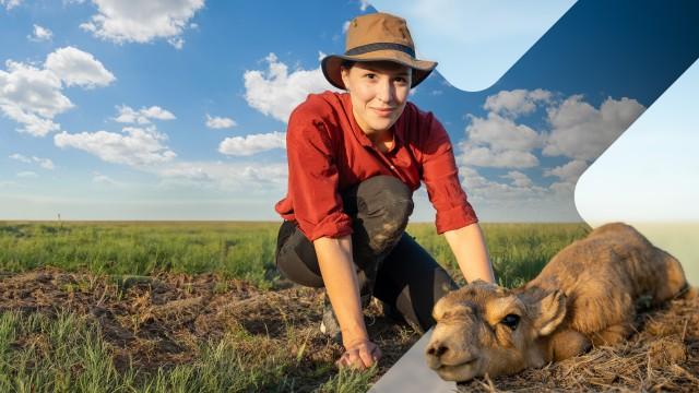 Faszination Erde: Kasachstan – Die Steppe lebt