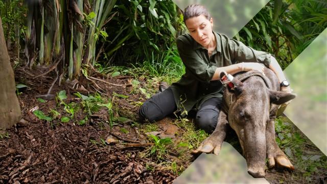 Faszination Erde: Costa Rica – das pure Leben?