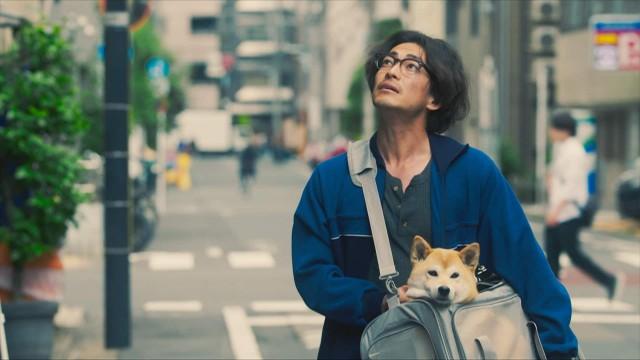 ダメシバも犬バカも永遠に