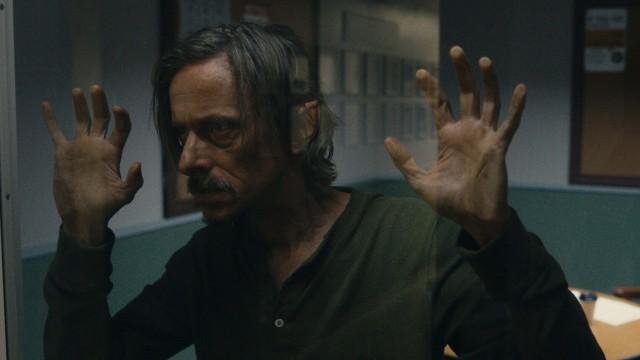 Oakleaf of the Wayfinders