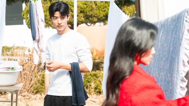 The Hobby Called Love