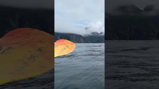 Too Close to the Whales