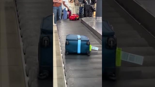 Nailed This Perfectly