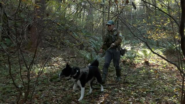 野生と共に生きる！ 〜駆除に頼らない観光地〜