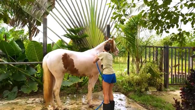 29. Bölüm - Survivor 2026: Ünlüler - Gönüllüler