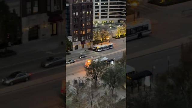 The Best Paper Airplane Throw