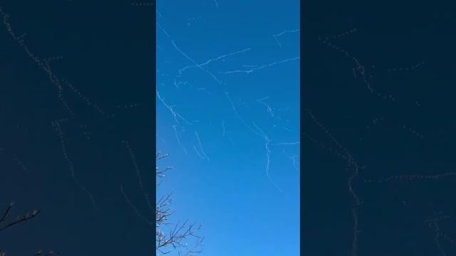 Where are they going?