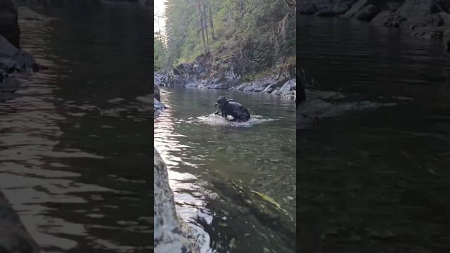 He Needs Locking Up For This