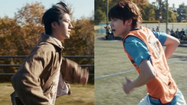 Don't Go Falling for Me