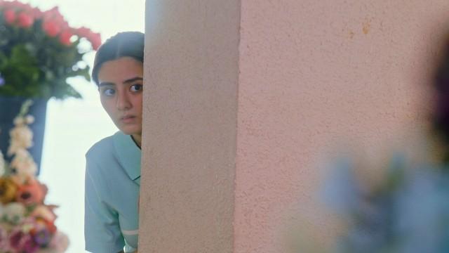 Tally's stealing is finally caught by Roselle!