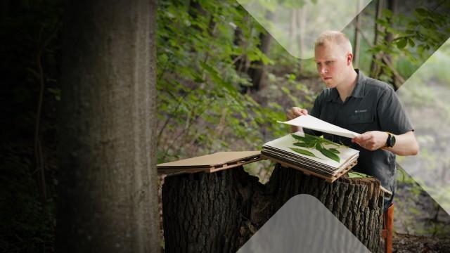 Vergessenes Wissen (1) – Schätze der Natur