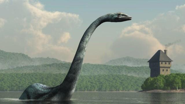 Volcano UFO Fleet, Nessie's Heartbeat, and Dark Web Alien Bodies