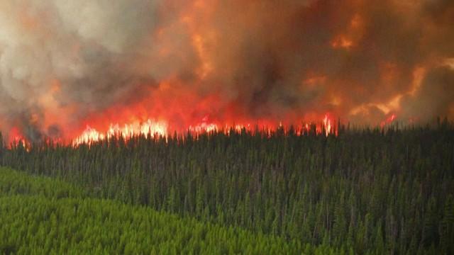 Comment faire face à la fumée des feux? Une tragédie mobilise les citoyens