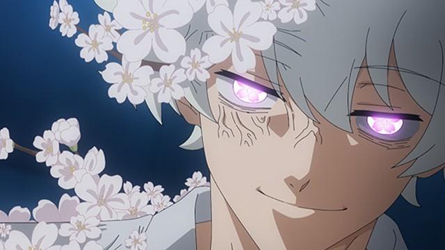 New Cherry Blossoms