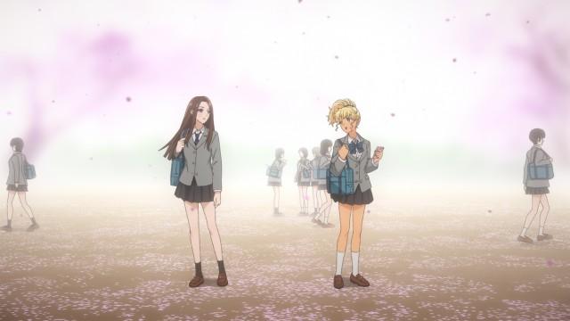 This Was Your Idea, Kotoko Ijichi!