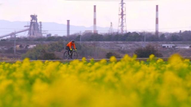 Okayama - Charming Rustic Warmth