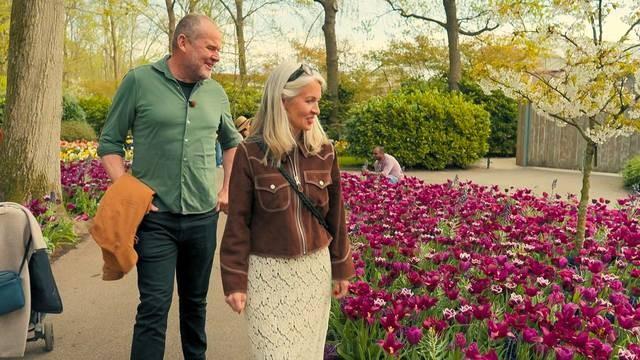 Vårbruk och tulpanfrossa