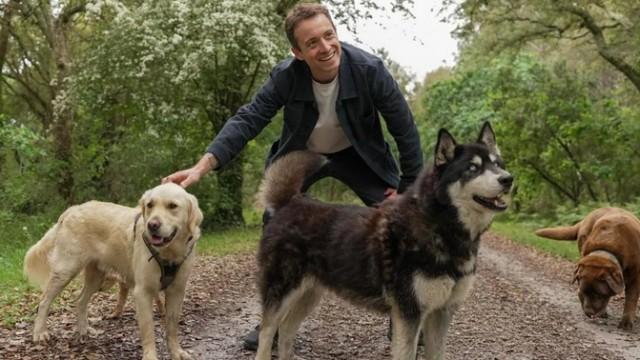 Where Do Trendy Dog Breeds Come From?