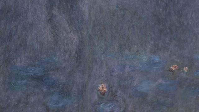 Episode 5 | Water Lilies