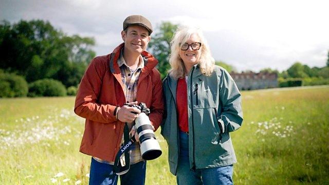 Hampshire's Secret Wild Side