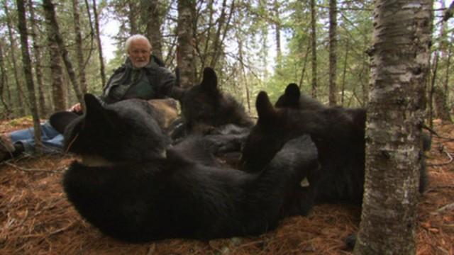 Bearwalker of the Northwoods